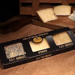 Comparativa de los mejores packs de queso gourmet del año 2026
