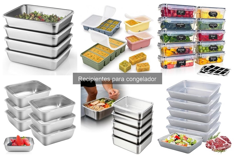 Comparativa de recipientes para congelador: vidrio vs. plástico vs. acero inoxidable