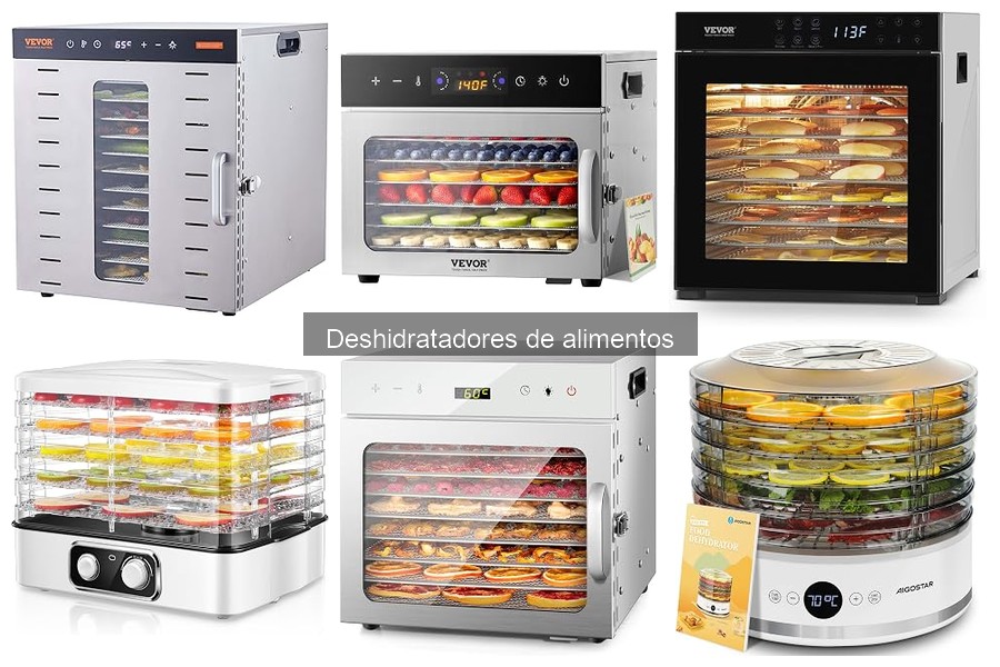 Mejores deshidratadores de alimentos para principiantes 2026